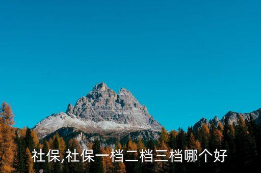社保,社保一档二档三档哪个好