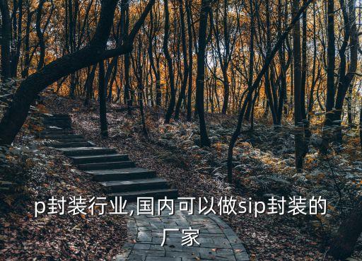 p封装行业,国内可以做sip封装的厂家