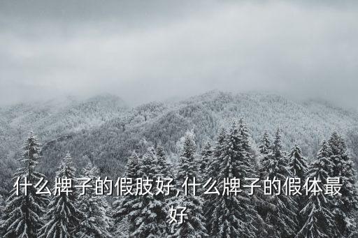 世界什么牌子的假肢好,什么牌子的假体最好?