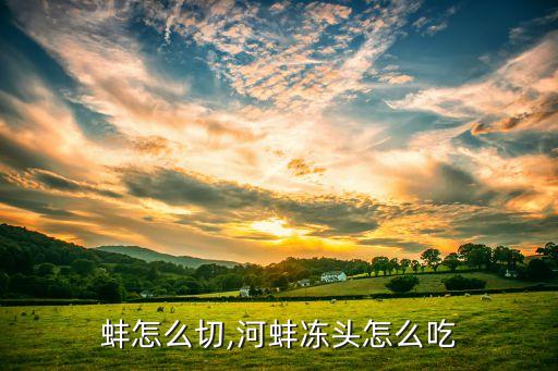象拔蚌怎么切,河蚌冻头怎么吃?