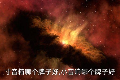 10寸音箱哪个牌子好,小音响哪个牌子好?