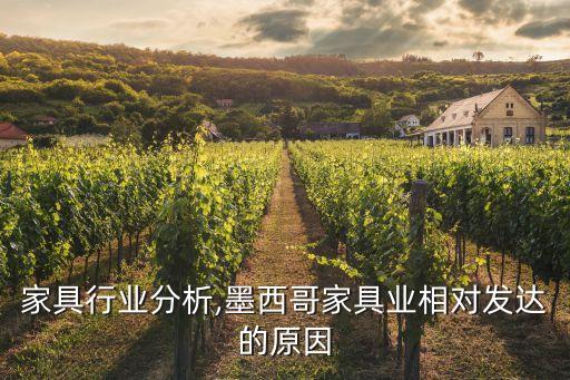 家具行业分析,墨西哥家具业相对发达的原因