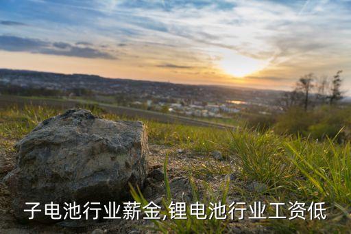 锂离子电池行业薪金,锂电池行业工资低