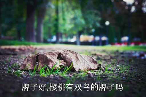 牌子好,樱桃有双鸟的牌子吗
