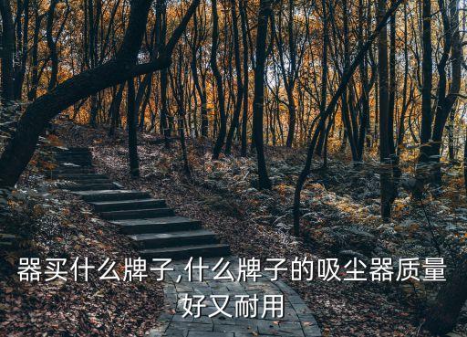 吸尘器买什么牌子,什么牌子的吸尘器质量好又耐用?