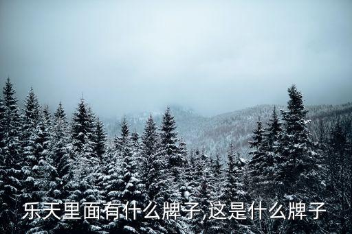 乐天里面有什么牌子,这是什么牌子