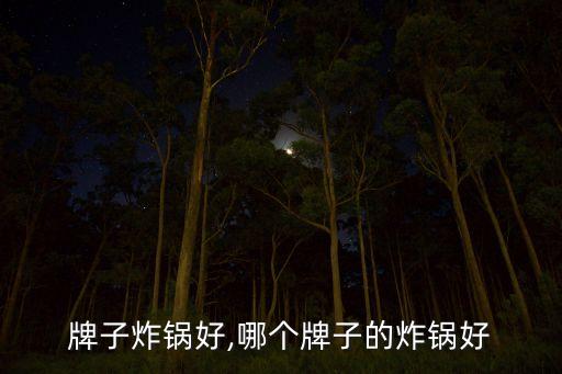 牌子炸锅好,哪个牌子的炸锅好