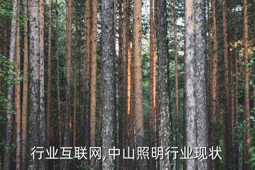 灯饰行业互联网,中山照明行业现状