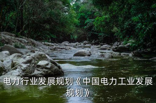 电力行业发展规划《中国电力工业发展规划》