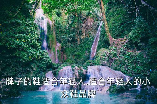 牌子的鞋适合年轻人,适合年轻人的小众鞋品牌