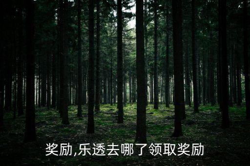 领取奖励,乐透去哪了领取奖励