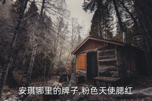 安琪哪里的牌子,粉色天使腮红