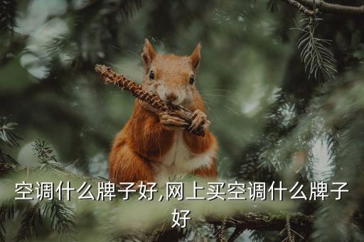 空调什么牌子好,网上买空调什么牌子好