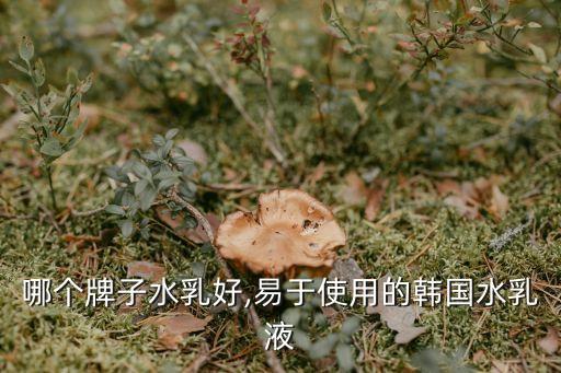 哪个牌子水乳好,易于使用的韩国水乳液
