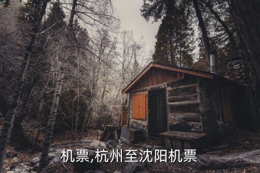 沈阳机票,杭州至沈阳机票