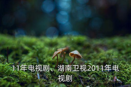 2011年电视剧、湖南卫视2011年电视剧