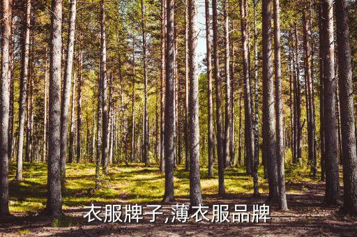 衣服牌子,薄衣服品牌