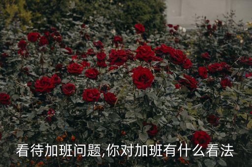 怎么看待加班问题,你对加班有什么看法?