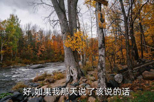 好,如果我那天说了该说的话