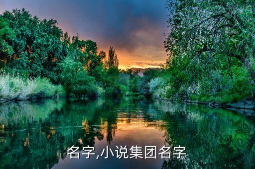 集团名字,小说集团名字