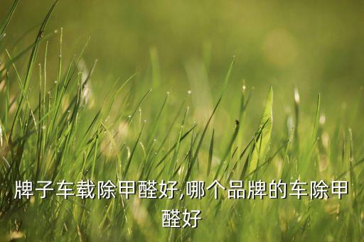 牌子车载除甲醛好,哪个品牌的车除甲醛好