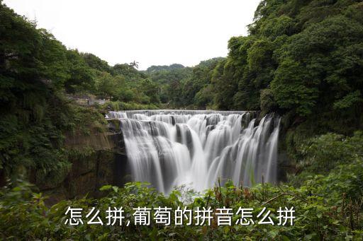 怎么拼,葡萄的拼音怎么拼