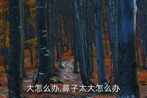 大怎么办,鼻子太大怎么办