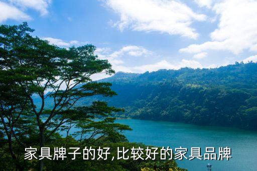好的家具牌子的好,比较好的家具品牌