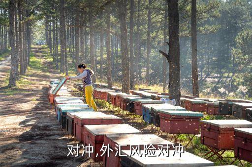 对冲,外汇风险对冲