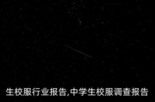 生校服行业报告,中学生校服调查报告