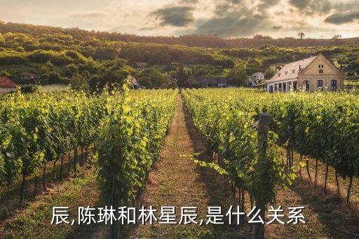 林星辰,陈琳和林星辰,是什么关系?