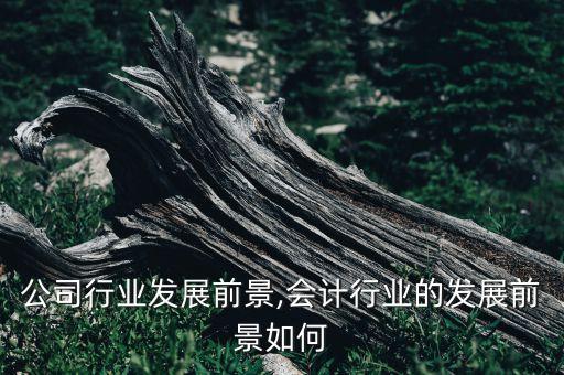 财务公司行业发展前景,会计行业的发展前景如何?