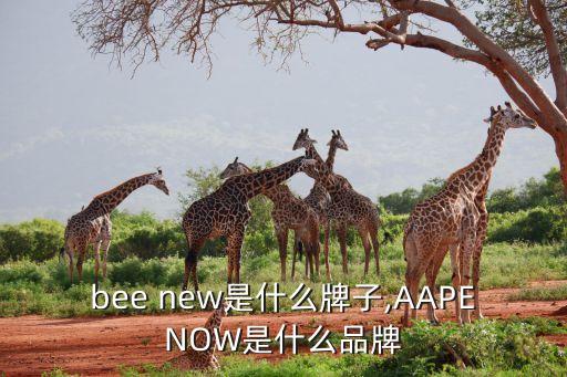 bee new是什么牌子,AAPENOW是什么品牌