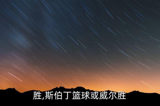 威尔胜,斯伯丁篮球或威尔胜