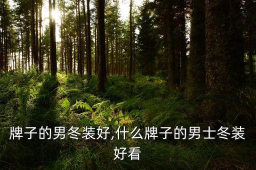 牌子的男冬装好,什么牌子的男士冬装好看