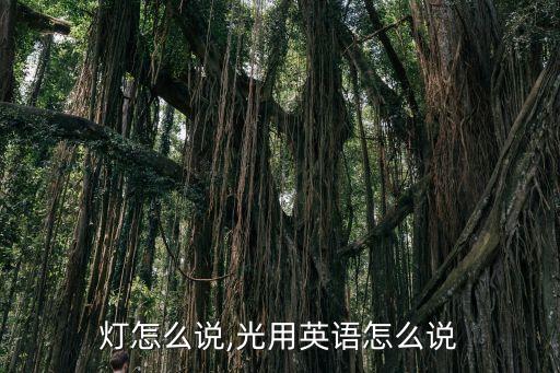 英语灯怎么说,光用英语怎么说?