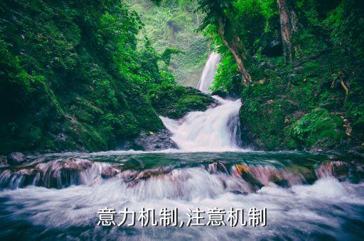自注意力机制,注意机制