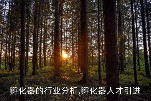 孵化器的行业分析,孵化器人才引进