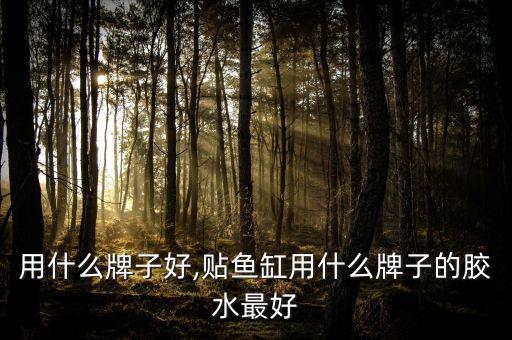 用什么牌子好,贴鱼缸用什么牌子的胶水最好
