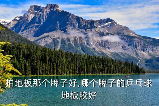 拍地板那个牌子好,哪个牌子的乒乓球地板胶好