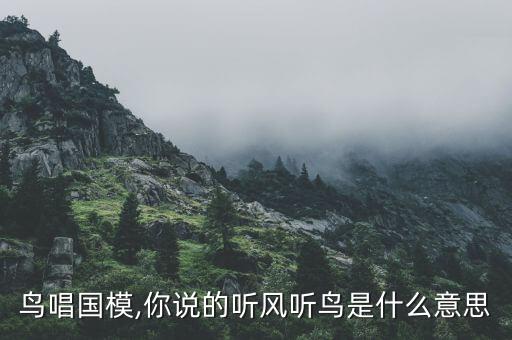 鸟唱国模,你说的听风听鸟是什么意思