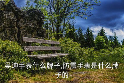 快手吴迪手表什么牌子,防震手表是什么牌子的?