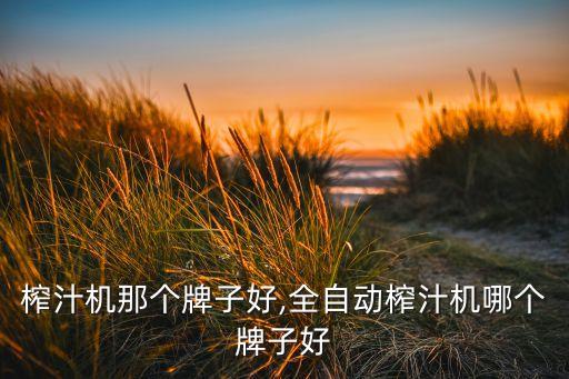 榨汁机那个牌子好,全自动榨汁机哪个牌子好