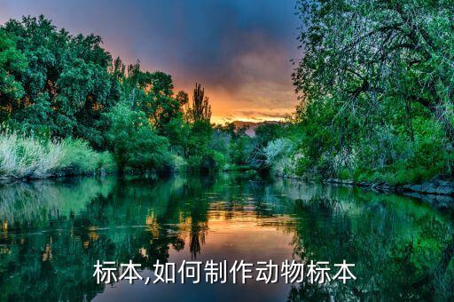 标本,如何制作动物标本