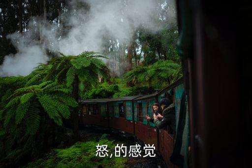 怒,的感觉