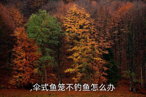 鱼笼,伞式鱼笼不钓鱼怎么办?