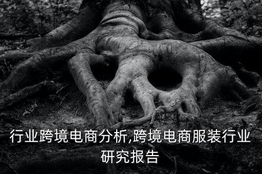 行业跨境电商分析,跨境电商服装行业研究报告