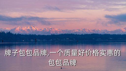 平价牌子包包品牌,一个质量好价格实惠的包包品牌