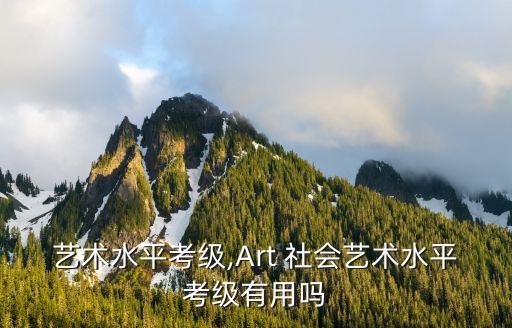 社会艺术水平考级,Art 社会艺术水平考级有用吗?
