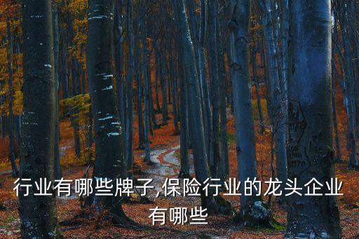 行业有哪些牌子,保险行业的龙头企业有哪些